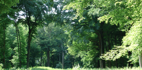 ENVIRONNEMENT ECONOMIE